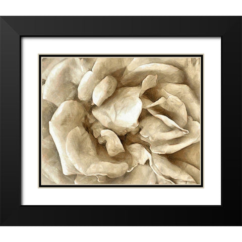 Neutral Wall Flower II Black Modern Wood Framed Art Print with Double Matting by Saunders, Alonzo