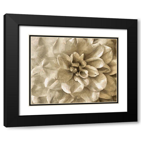 Neutral Wall Flower III Black Modern Wood Framed Art Print with Double Matting by Saunders, Alonzo