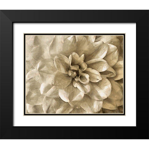 Neutral Wall Flower III Black Modern Wood Framed Art Print with Double Matting by Saunders, Alonzo