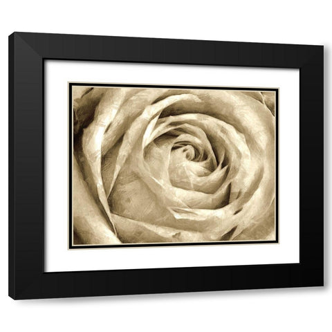 Neutral Wall Flower IV Black Modern Wood Framed Art Print with Double Matting by Saunders, Alonzo