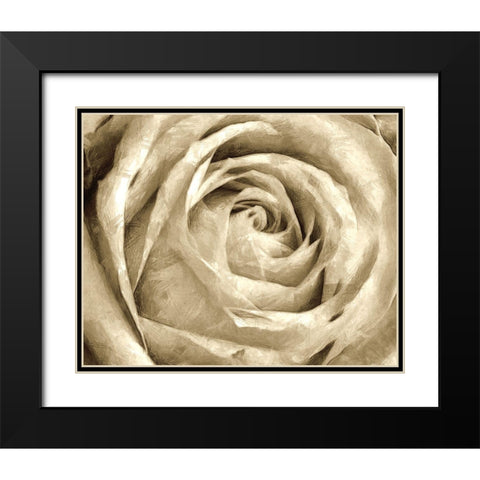 Neutral Wall Flower IV Black Modern Wood Framed Art Print with Double Matting by Saunders, Alonzo