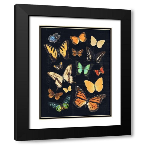 Collected Flutter III Black Modern Wood Framed Art Print with Double Matting by Barnes, Victoria