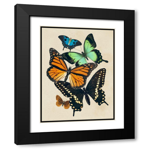Collaged Butterflies I Black Modern Wood Framed Art Print with Double Matting by Barnes, Victoria