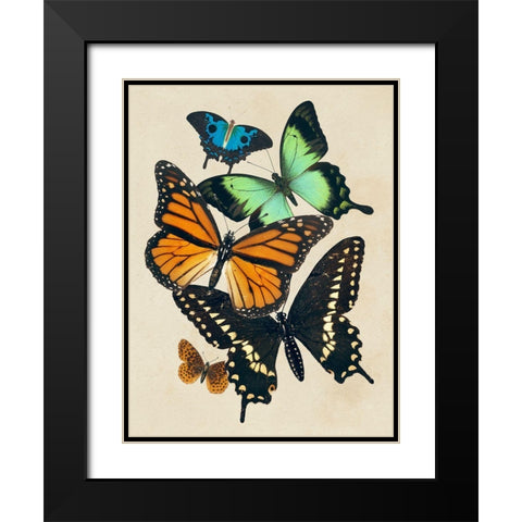 Collaged Butterflies I Black Modern Wood Framed Art Print with Double Matting by Barnes, Victoria