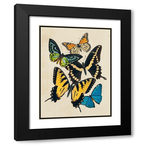 Collaged Butterflies II Black Modern Wood Framed Art Print with Double Matting by Barnes, Victoria