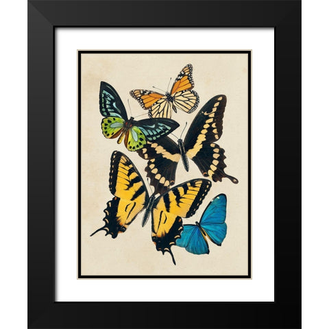 Collaged Butterflies II Black Modern Wood Framed Art Print with Double Matting by Barnes, Victoria