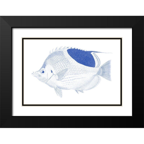 Blue And White Tropical Fish I Black Modern Wood Framed Art Print with Double Matting by Vision Studio
