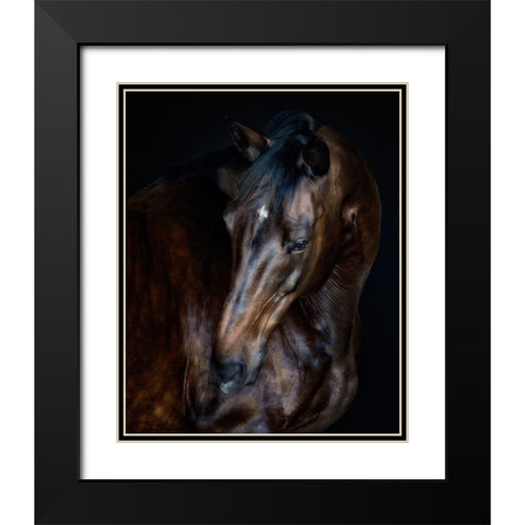 Sunlit Horses I Black Modern Wood Framed Art Print with Double Matting by PHBurchett