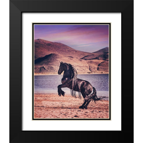 Sunlit Horses II Black Modern Wood Framed Art Print with Double Matting by PHBurchett