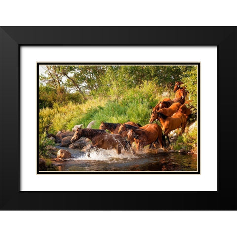 Sunlit Horses IV Black Modern Wood Framed Art Print with Double Matting by PHBurchett