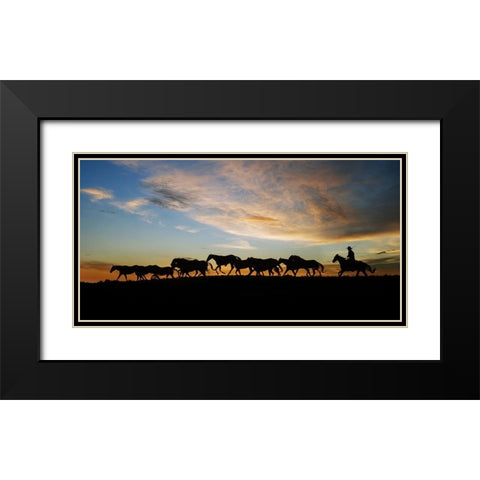 Sunlit Horses V Black Modern Wood Framed Art Print with Double Matting by PHBurchett