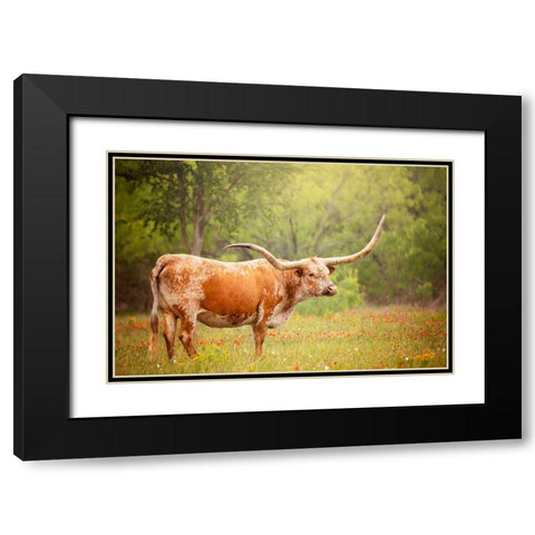 Sunlit Midwest I Black Modern Wood Framed Art Print with Double Matting by PHBurchett