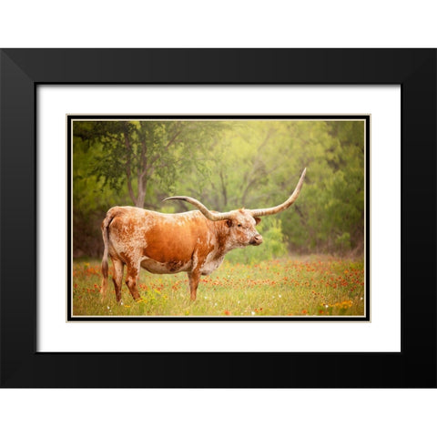 Sunlit Midwest I Black Modern Wood Framed Art Print with Double Matting by PHBurchett