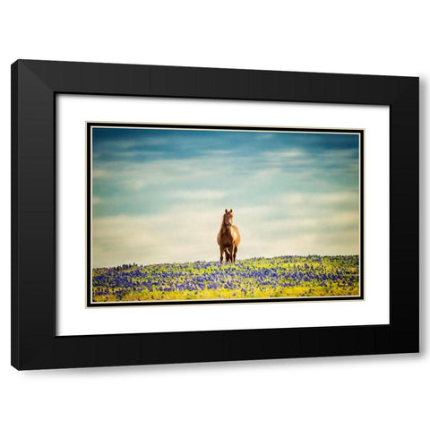 Sunlit Midwest II Black Modern Wood Framed Art Print with Double Matting by PHBurchett