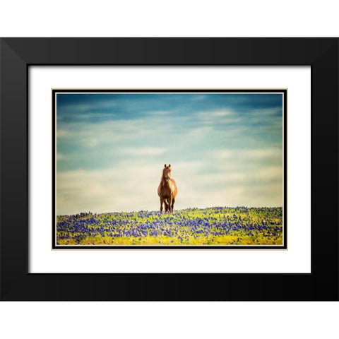 Sunlit Midwest II Black Modern Wood Framed Art Print with Double Matting by PHBurchett