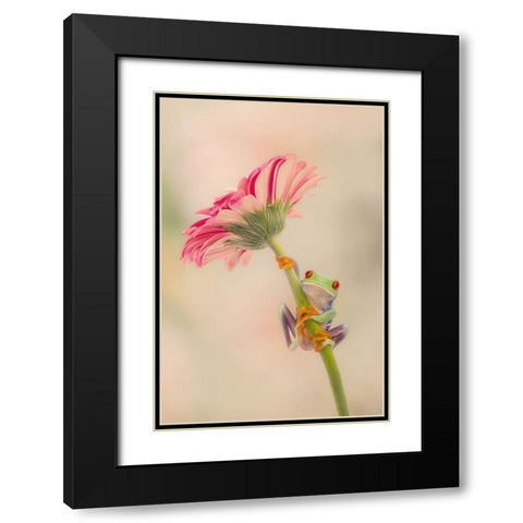 Hanging On I Black Modern Wood Framed Art Print with Double Matting by PHBurchett