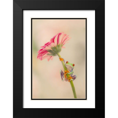 Hanging On I Black Modern Wood Framed Art Print with Double Matting by PHBurchett