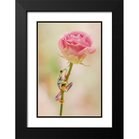 Hanging On II Black Modern Wood Framed Art Print with Double Matting by PHBurchett