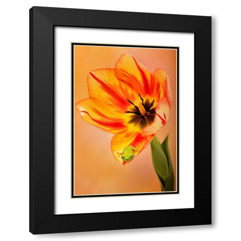 Hanging On VI Black Modern Wood Framed Art Print with Double Matting by PHBurchett