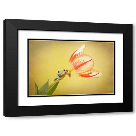 Hanging On VII Black Modern Wood Framed Art Print with Double Matting by PHBurchett