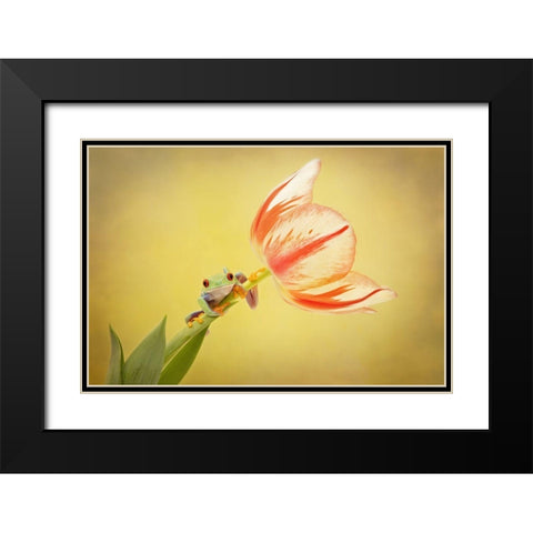 Hanging On VII Black Modern Wood Framed Art Print with Double Matting by PHBurchett