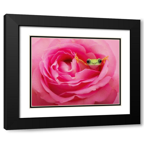 Hanging On VIII Black Modern Wood Framed Art Print with Double Matting by PHBurchett
