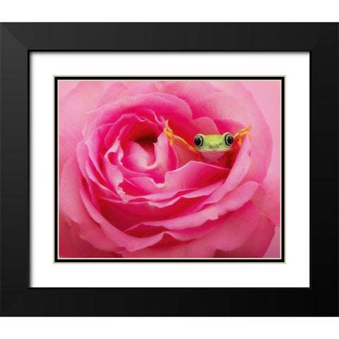 Hanging On VIII Black Modern Wood Framed Art Print with Double Matting by PHBurchett