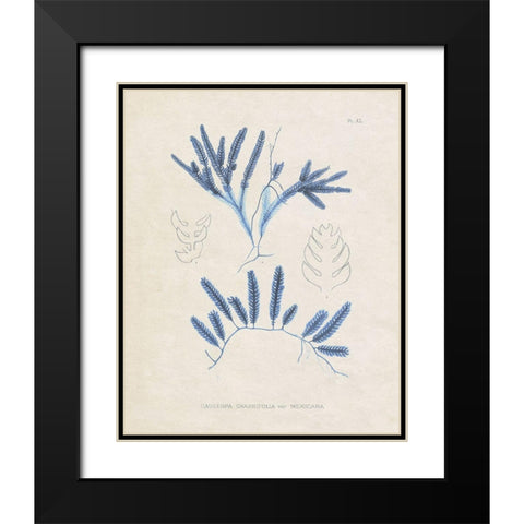 Blue Marine Algae I Black Modern Wood Framed Art Print with Double Matting by Vision Studio