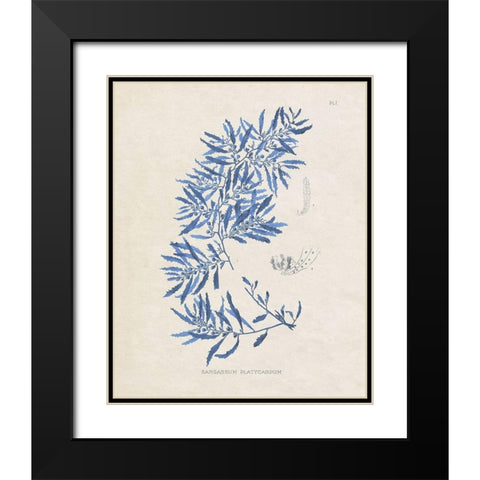 Blue Marine Algae III Black Modern Wood Framed Art Print with Double Matting by Vision Studio