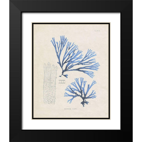 Blue Marine Algae V Black Modern Wood Framed Art Print with Double Matting by Vision Studio