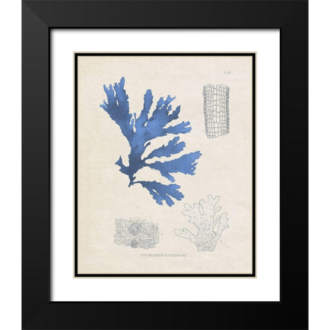 Blue Marine Algae VIII Black Modern Wood Framed Art Print with Double Matting by Vision Studio
