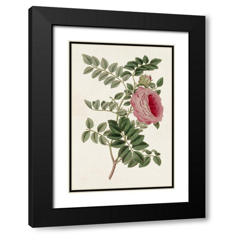 Pink Floral Mix I Black Modern Wood Framed Art Print with Double Matting by Ridgeway