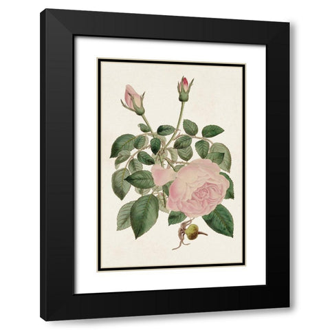 Pink Floral Mix II Black Modern Wood Framed Art Print with Double Matting by Ridgeway