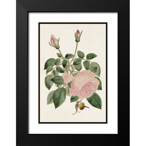 Pink Floral Mix II Black Modern Wood Framed Art Print with Double Matting by Ridgeway