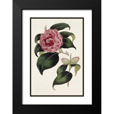 Pink Floral Mix III Black Modern Wood Framed Art Print with Double Matting by Ridgeway