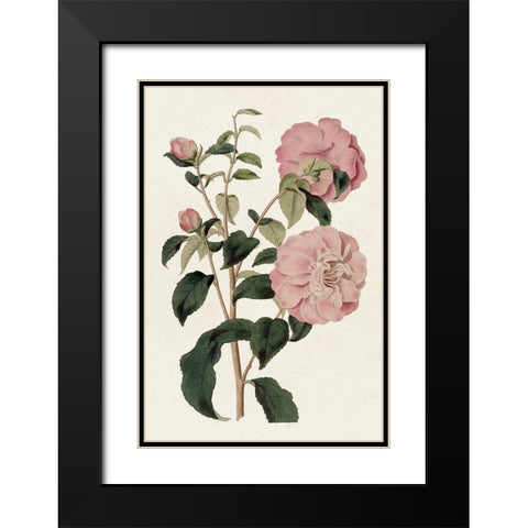 Pink Floral Mix IV Black Modern Wood Framed Art Print with Double Matting by Ridgeway