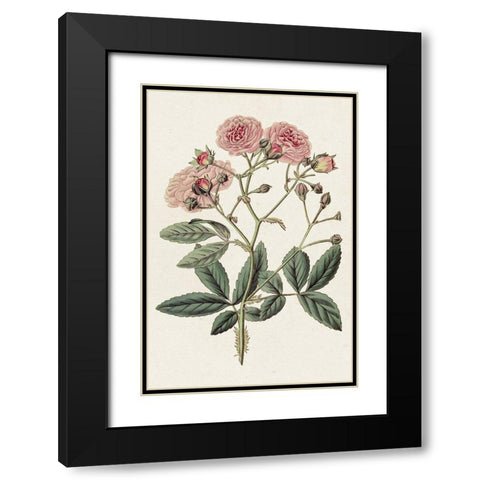 Pink Floral Mix V Black Modern Wood Framed Art Print with Double Matting by Ridgeway