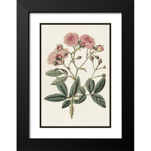 Pink Floral Mix V Black Modern Wood Framed Art Print with Double Matting by Ridgeway
