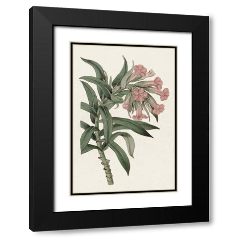 Pink Floral Mix VI Black Modern Wood Framed Art Print with Double Matting by Ridgeway