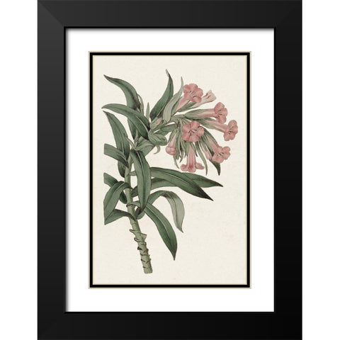 Pink Floral Mix VI Black Modern Wood Framed Art Print with Double Matting by Ridgeway