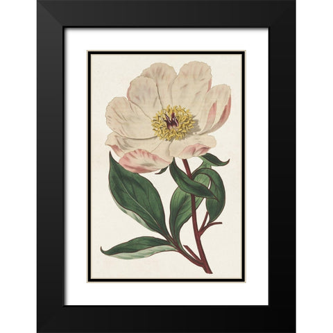 Pink Floral Mix VII Black Modern Wood Framed Art Print with Double Matting by Ridgeway