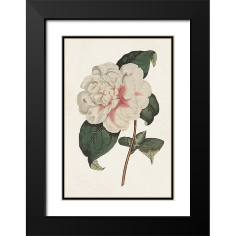 Pink Floral Mix VIII Black Modern Wood Framed Art Print with Double Matting by Ridgeway