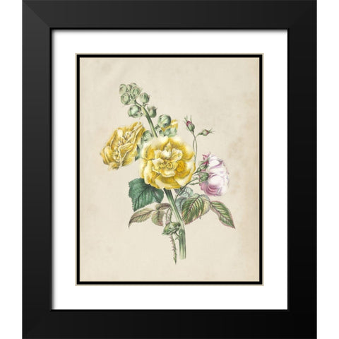 Antique Garden Bouquet II Black Modern Wood Framed Art Print with Double Matting by Vision Studio
