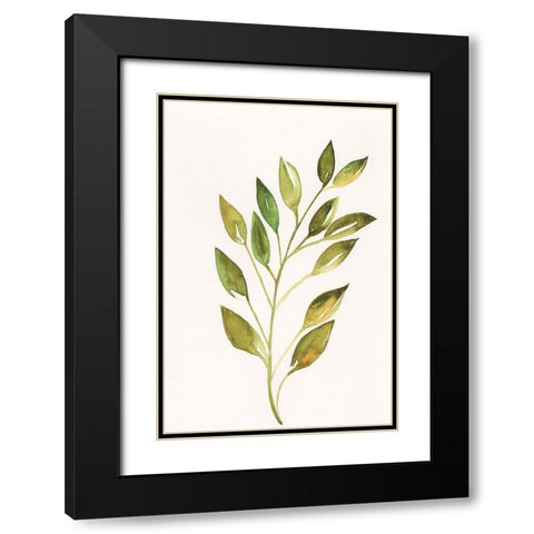 Single Twig I Black Modern Wood Framed Art Print with Double Matting by Moore, Regina