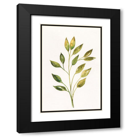 Single Twig II Black Modern Wood Framed Art Print with Double Matting by Moore, Regina
