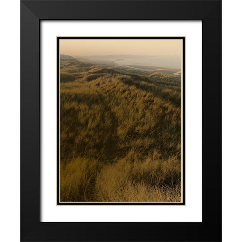 Golden Fog II Black Modern Wood Framed Art Print with Double Matting by Green, Jacob