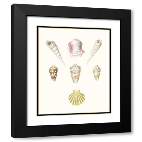 Pastel Knorr Shells I Black Modern Wood Framed Art Print with Double Matting by Knorr, G.W.