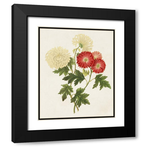 Flowers of the Seasons I Black Modern Wood Framed Art Print with Double Matting by Unknown