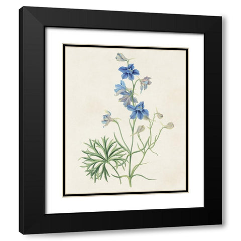 Flowers of the Seasons II Black Modern Wood Framed Art Print with Double Matting by Unknown