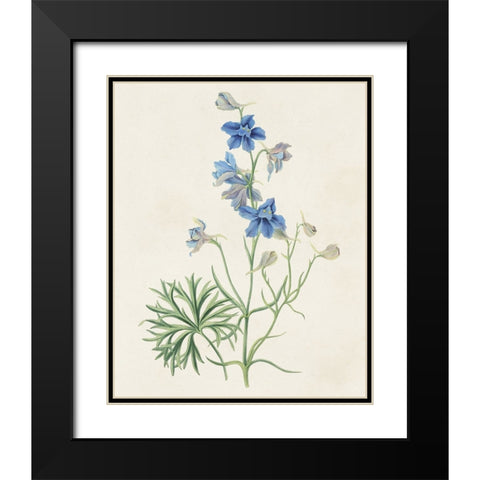 Flowers of the Seasons II Black Modern Wood Framed Art Print with Double Matting by Unknown